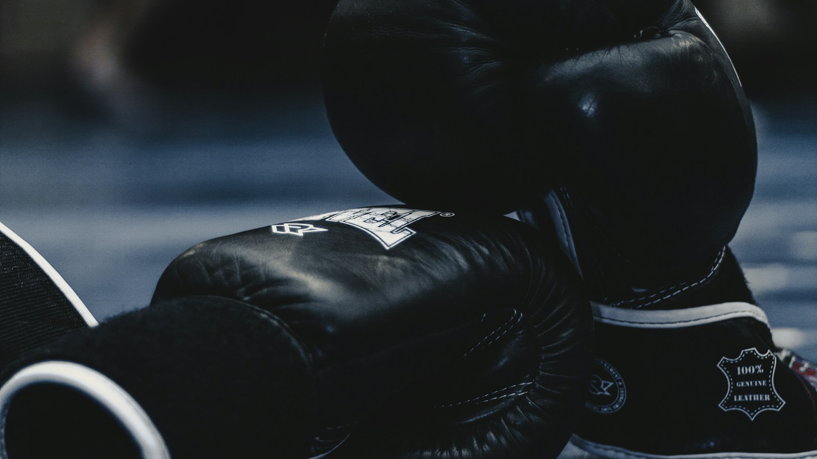 boxing gloves - BG